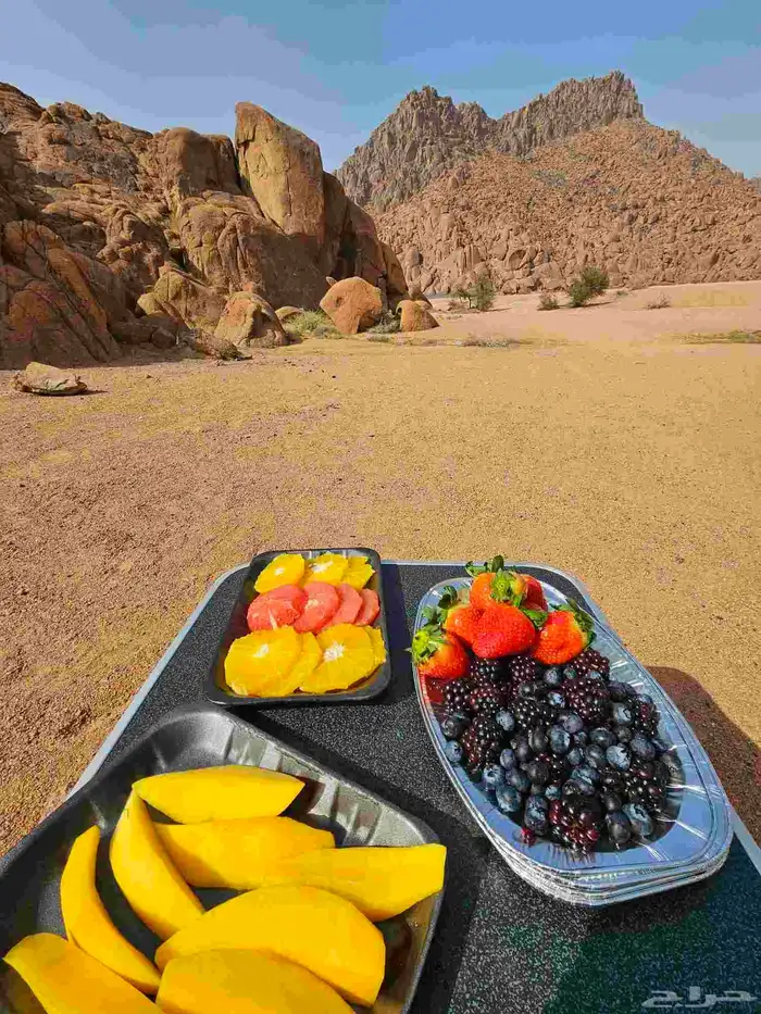 كرفان موترهم سعودي 2