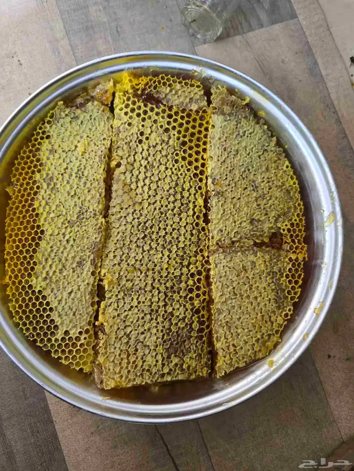 عسل قرض مع السدر 3