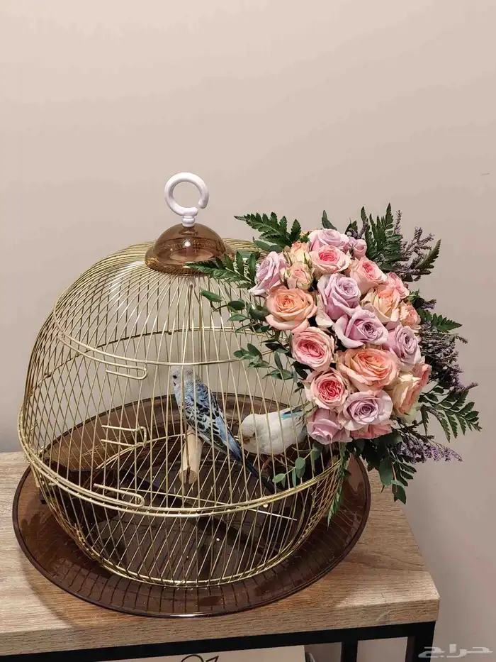 سلاسل واساور وخواتم نسائيه ماركه وعرض خاص مستمر 5