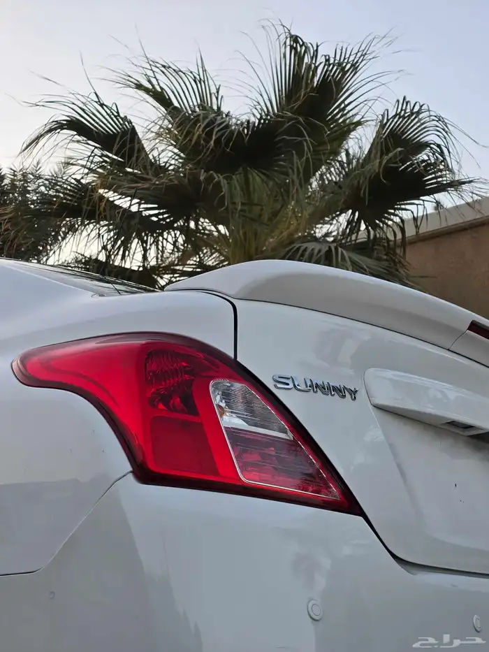 صني 2022 نظيف 41