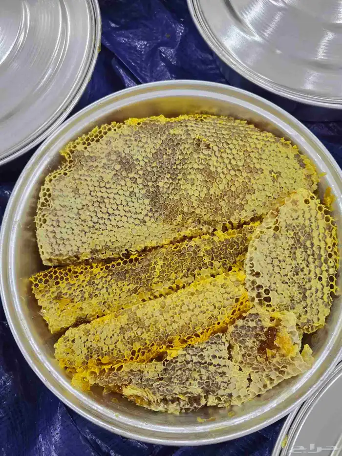 عسل قرض مع السدر 0