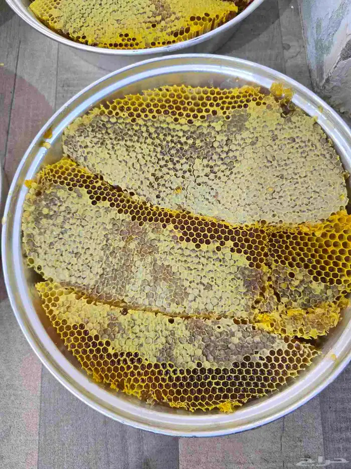 عسل قرض مع السدر 5