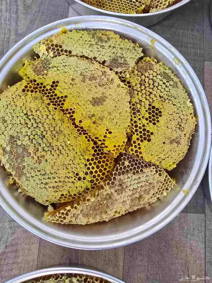 عسل قرض مع السدر 6