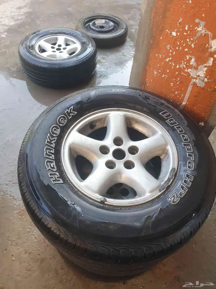 جنوط شروكي 6