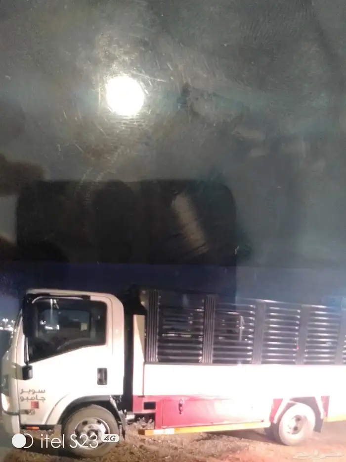 للايجار دينا ايسوزو مديل جديد 0