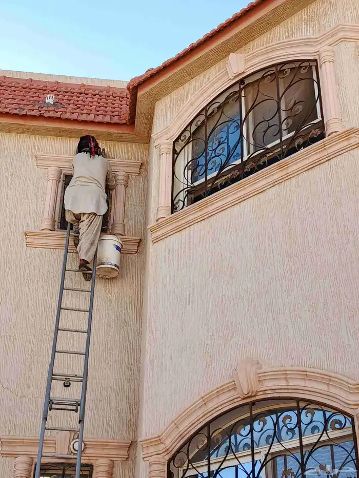 طاردالحمام طيور دريش شبك 0