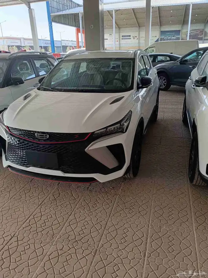 جيلي كولراي 2025 0