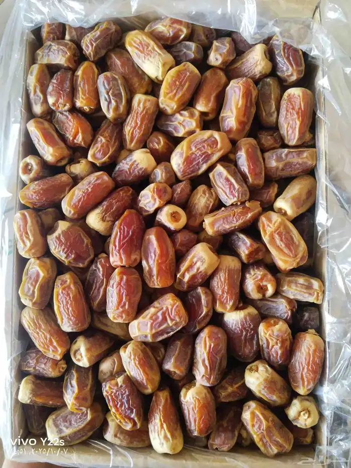 سقعي 0