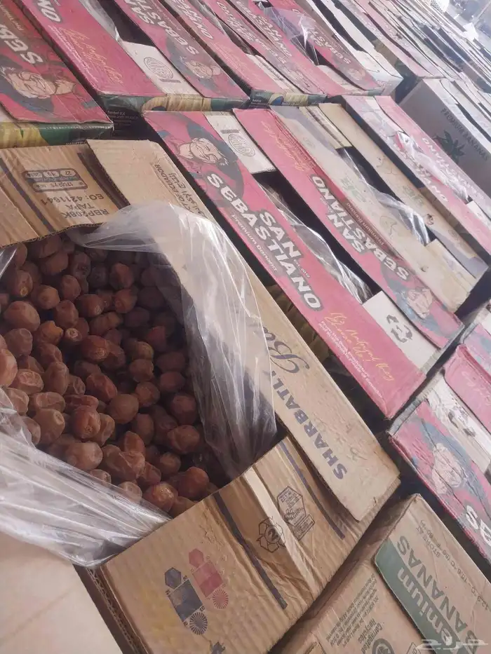 يوجد لدينا نخل مقلوع جاهز باقي 4حبات 4
