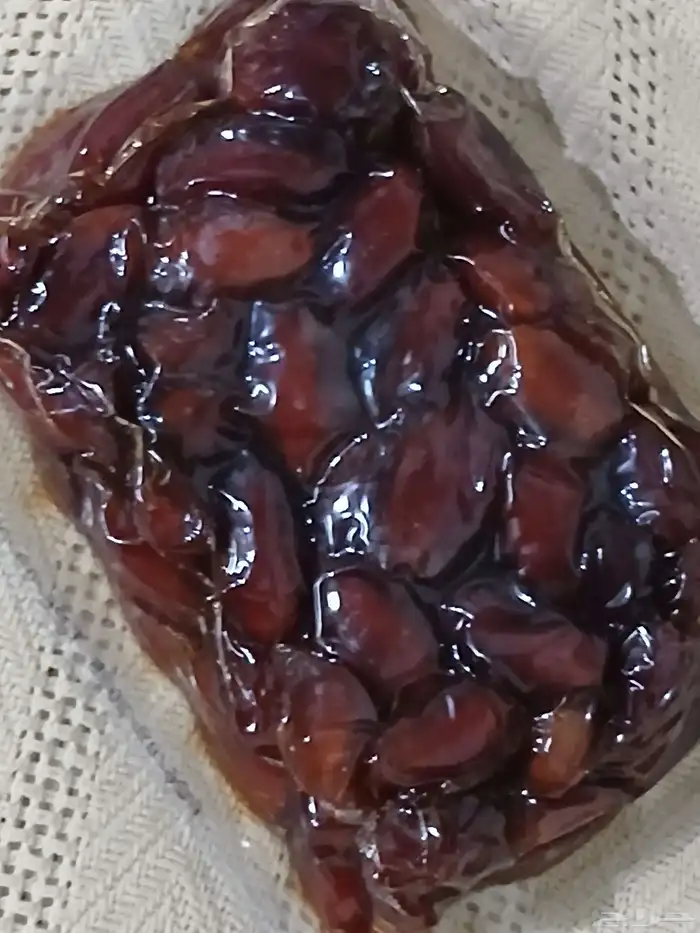 بسم الله 2