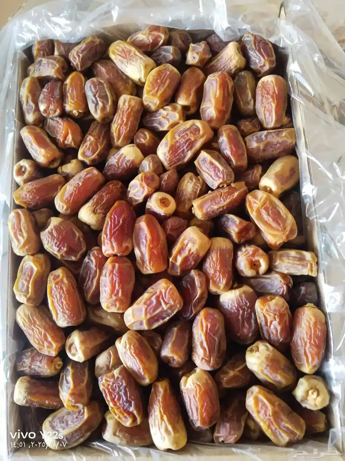 سقعي 2