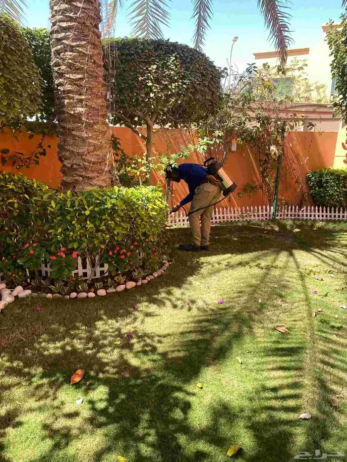 مكافحة حشرات 2