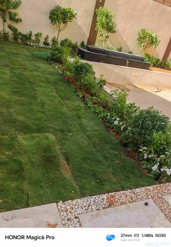 الزراعة الثيل الطبيعي وتركيب شبكات الري العادي والاتوماتيك 1