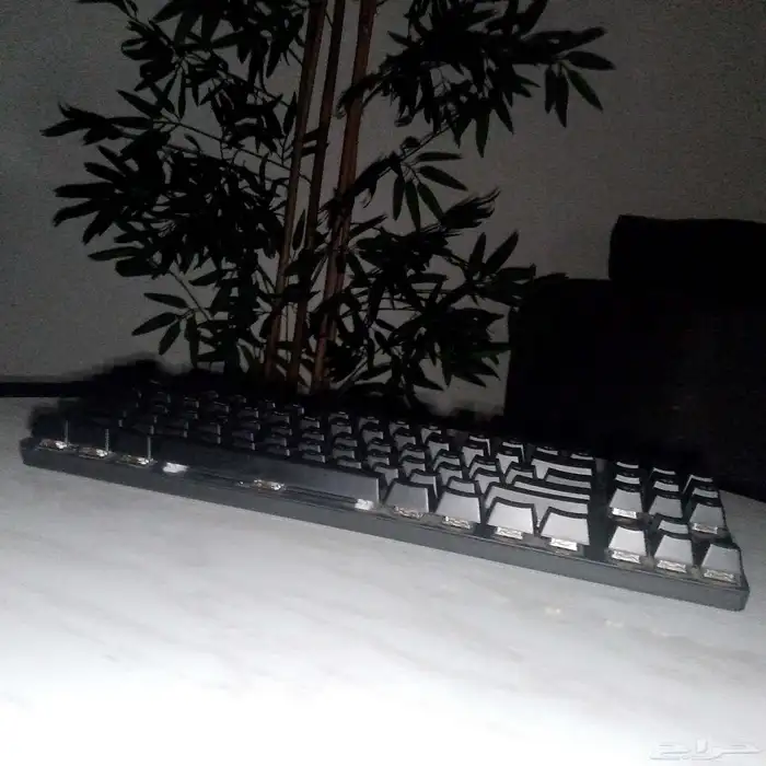 ماوس و كيبورد من شركه TEGHPIGK توصيل فقط غميقه فقط كاش 2