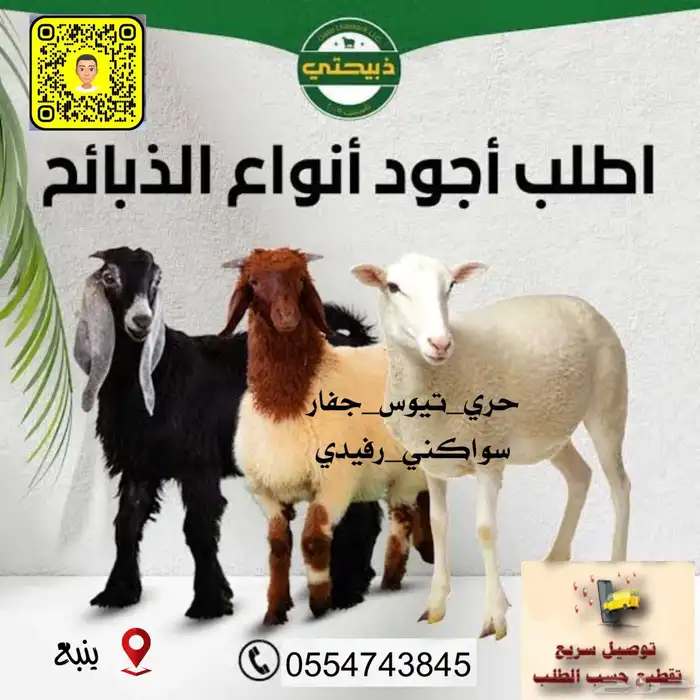 سواكن حري رفيدي تيوس مع التقطيع والتوصيل 0