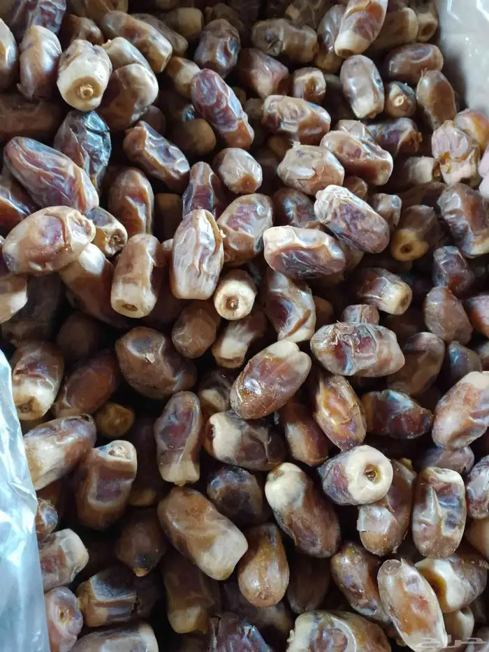 عندنا تمر صقعي للبيع 0