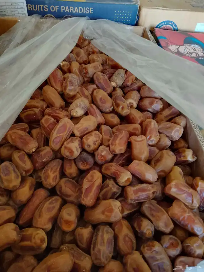 عندنا تمر صقعي للبيع 2