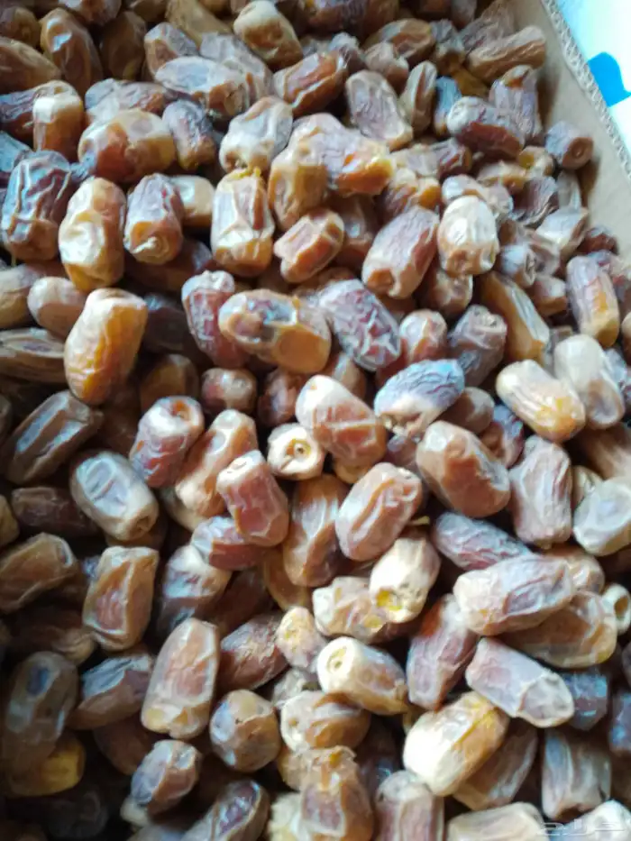 عندنا تمر صقعي للبيع 1