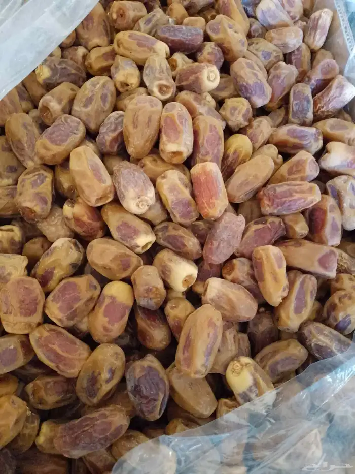 عندنا تمر صقعي للبيع 5