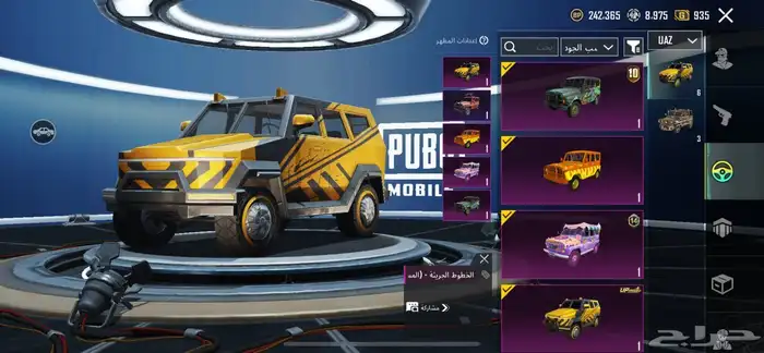ببجي 4