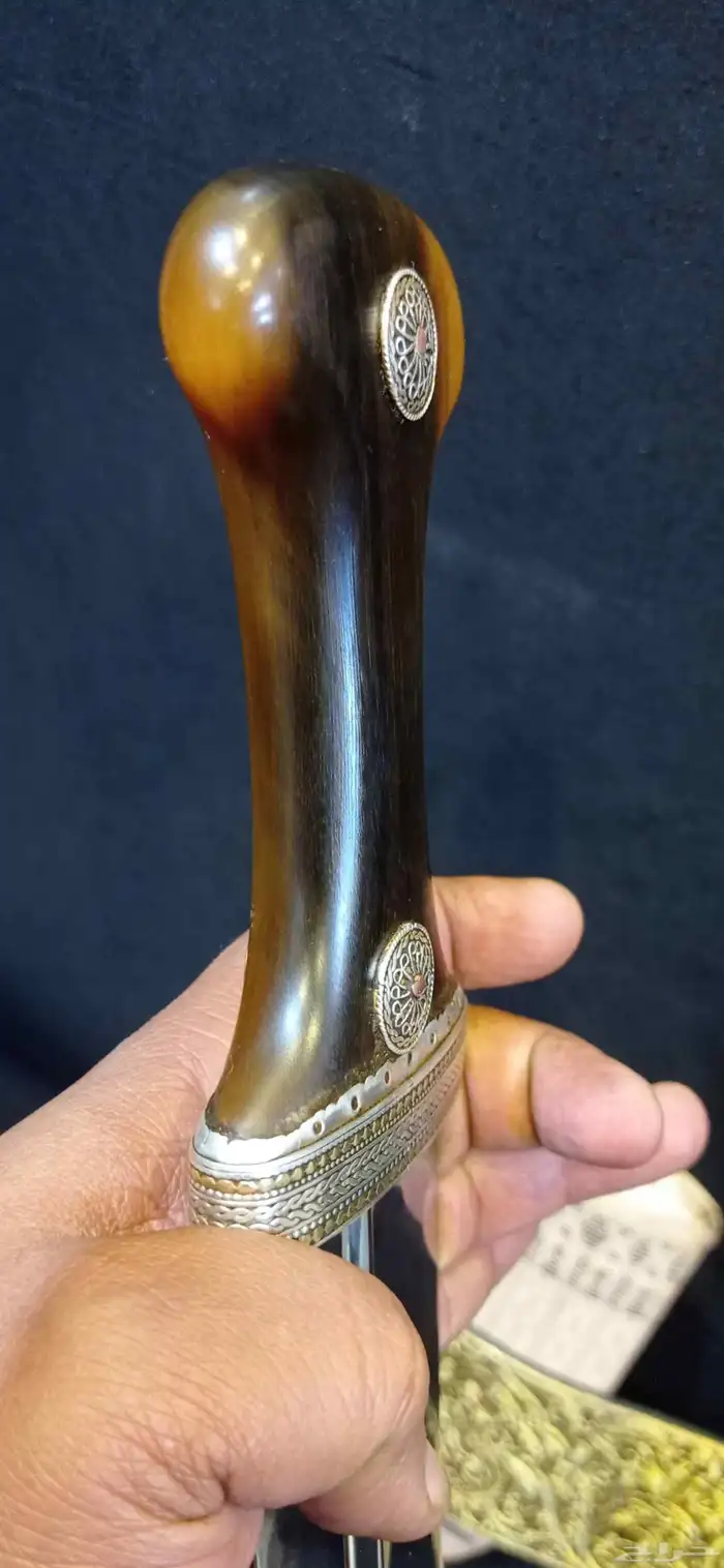 زراف مشرقي 8