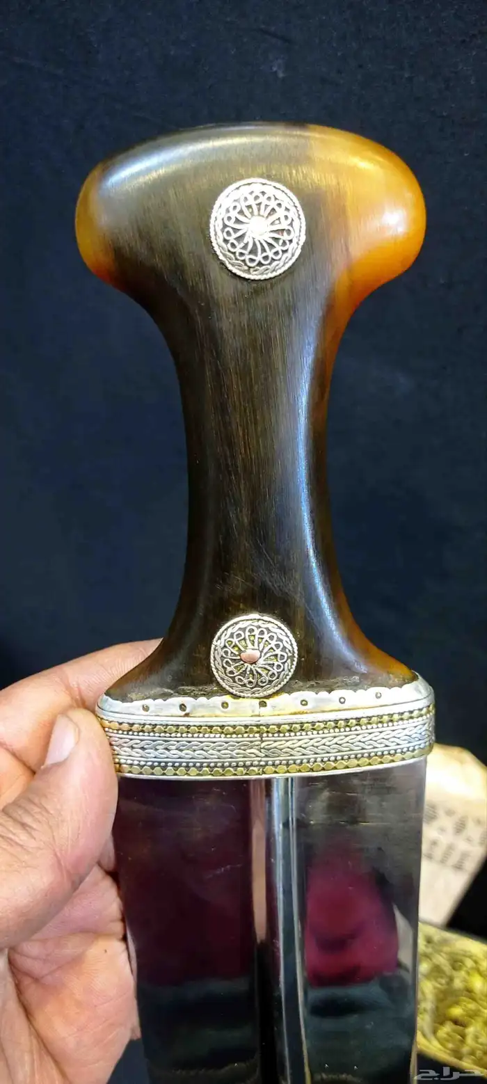 زراف مشرقي 5