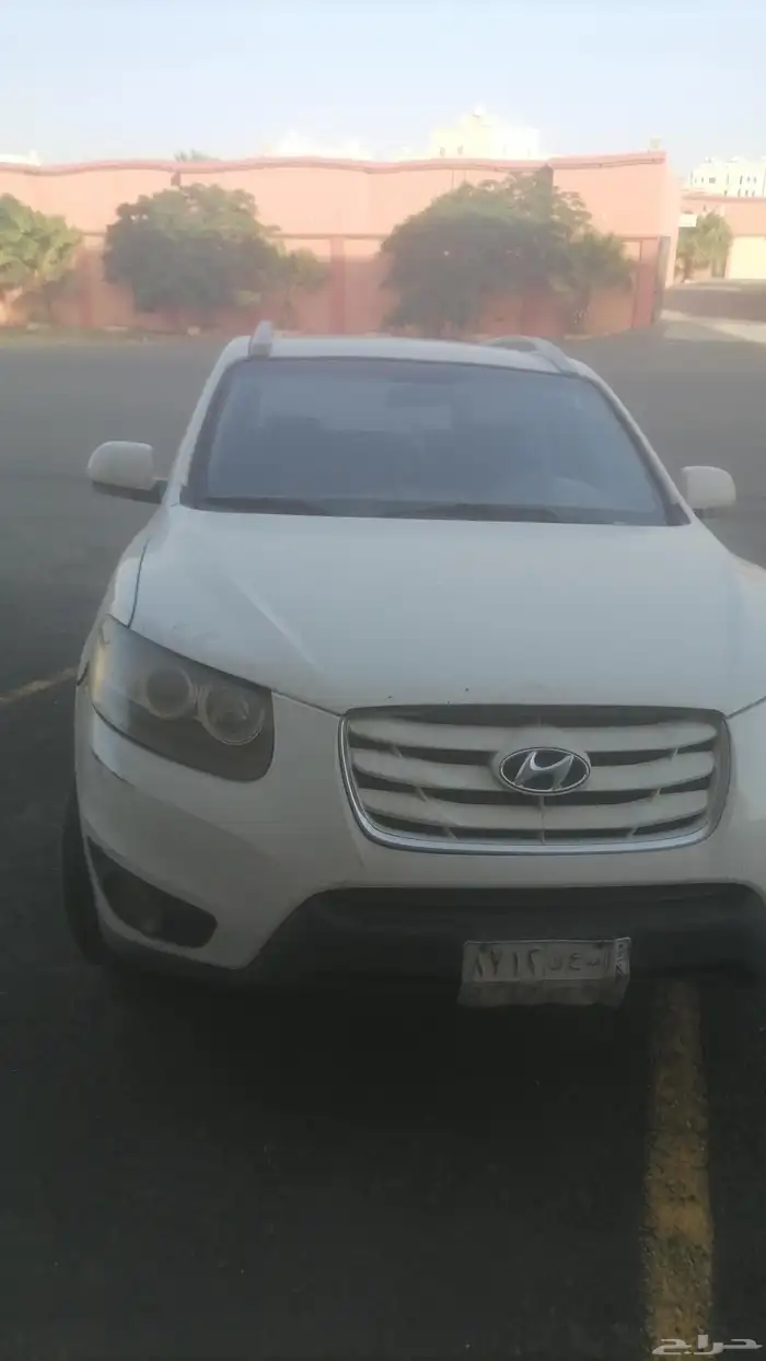 سنتافي 2012 4