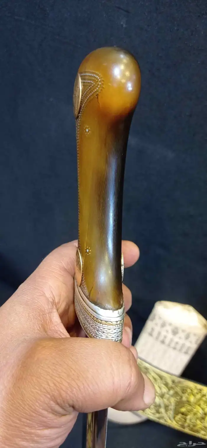 زراف مشرقي 7