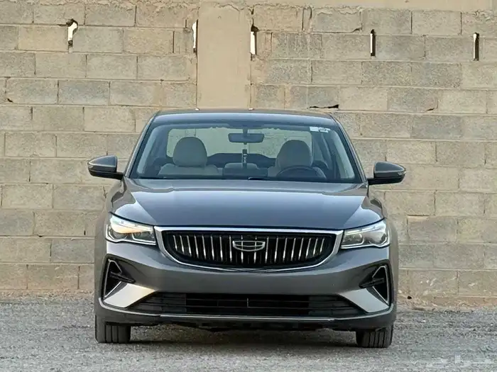 جيلي 2024 0