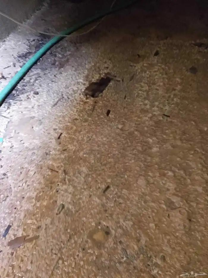 مؤسسة النقطه الأولي 4