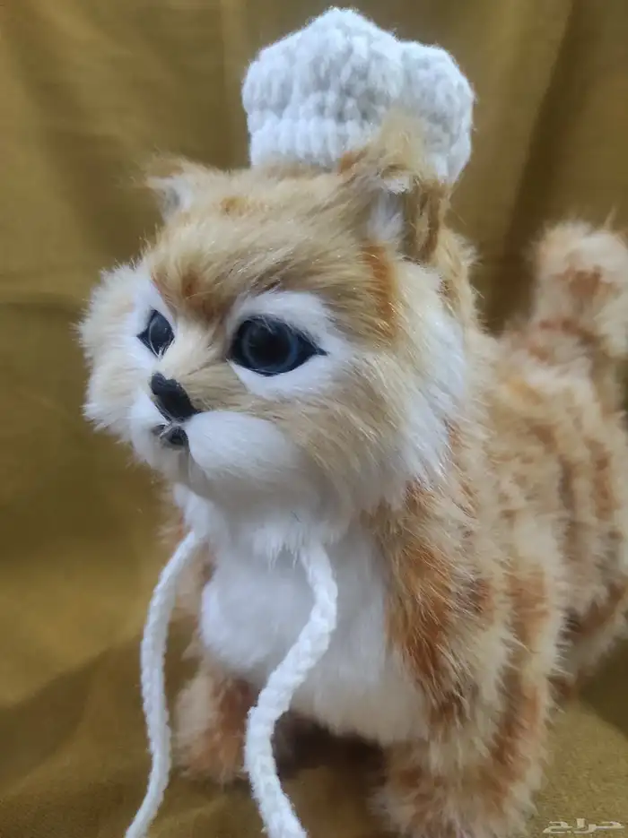 قبعات قطط كروشيه   Crochet cat hats 1