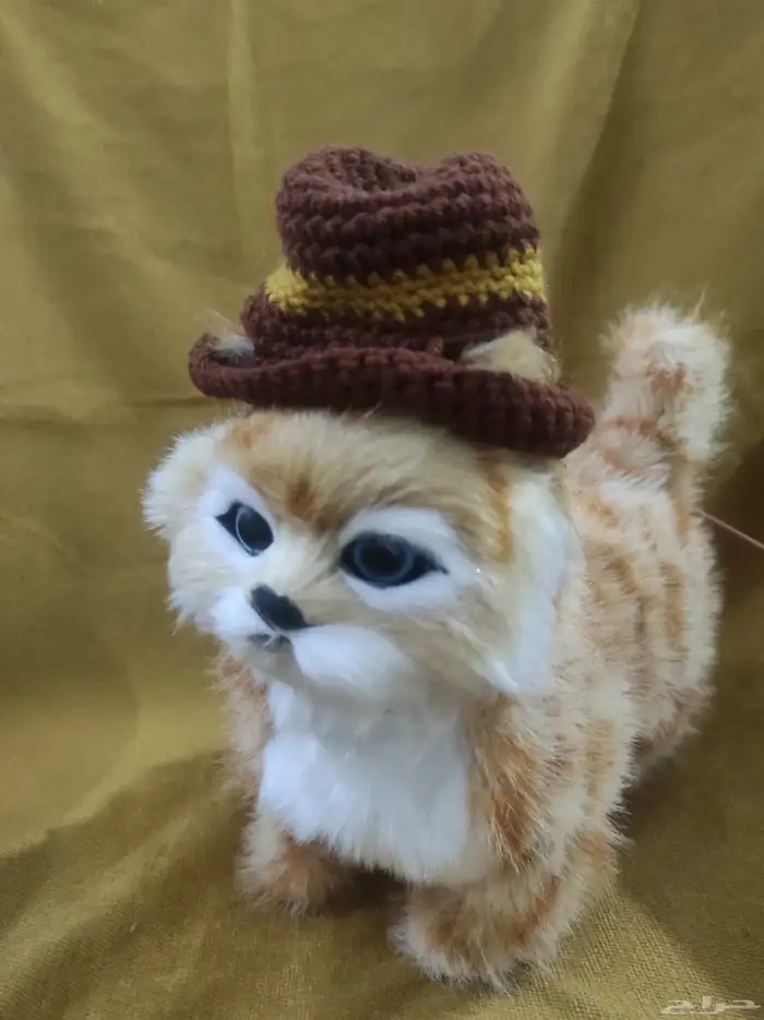 قبعات قطط كروشيه   Crochet cat hats 2