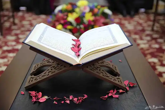 معلم قرآن كريم حضورى وعن بعد 0