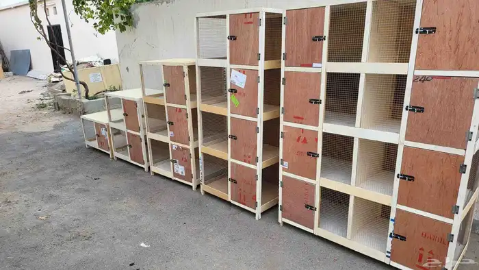 بياضات ببغاوات كاسكو امزوني 5