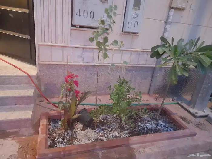 منسق حديق وتركيب جميع شبكات الري العادي والاتمتك 8