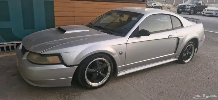 موستنج 2004م 0