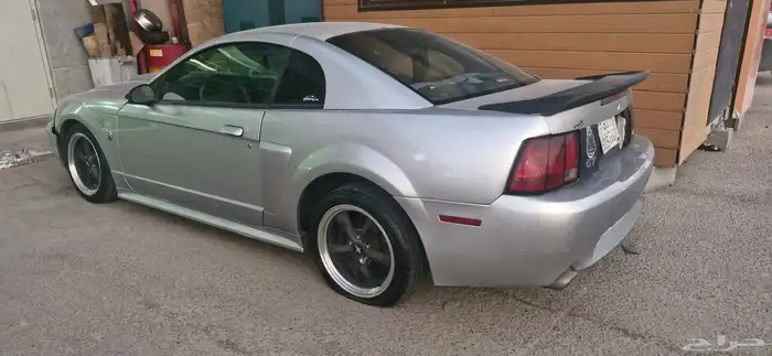 موستنج 2004م 1