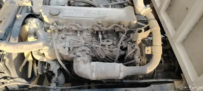 دينا ايسوزو نص نقل موديل 2011 6