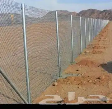 شبوك ونخيل توريد وتركيب 2