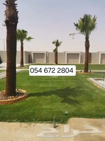 يوجد جميع انواع الاشجار والنباتات يوجد الكثير 1