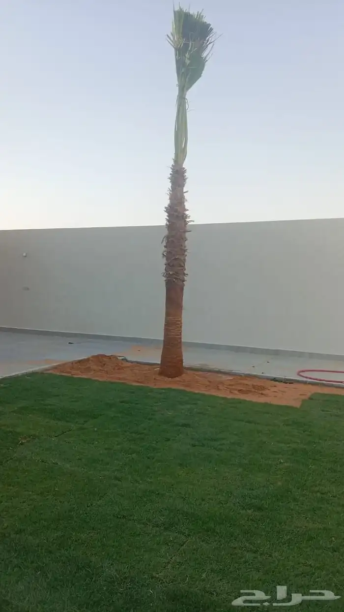 تخيل لبيع 5