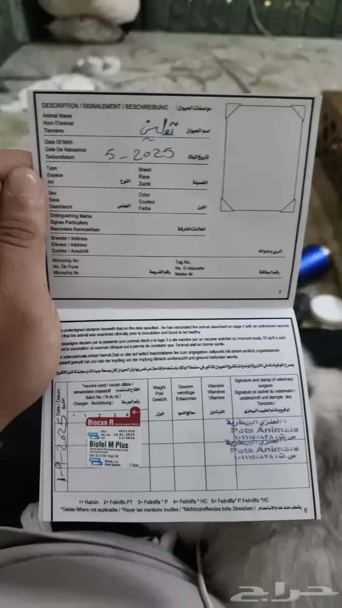 تبني 2
