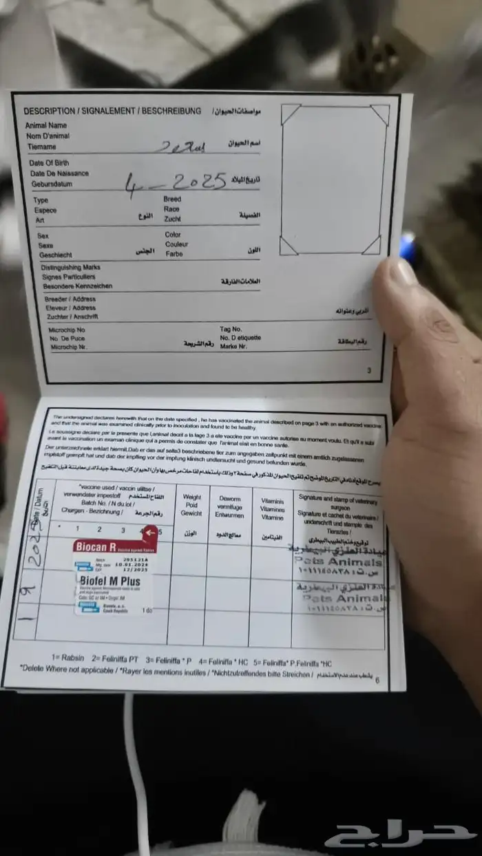 تبني 3