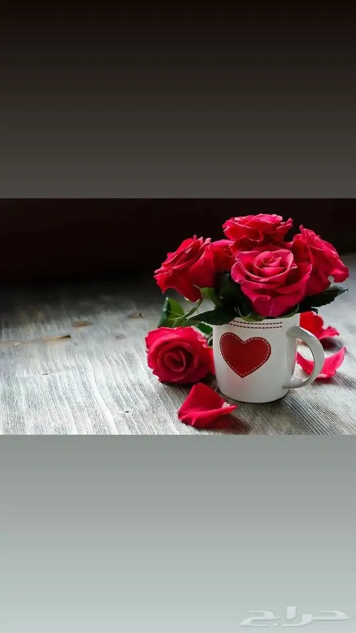 تمريض منزلى رعاية لكبار السن ممرضات ومرفقين 0