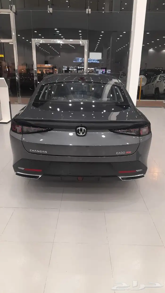 شنجان ايدو 2026 9
