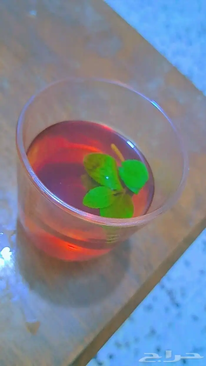 قهوجي 100 100 2