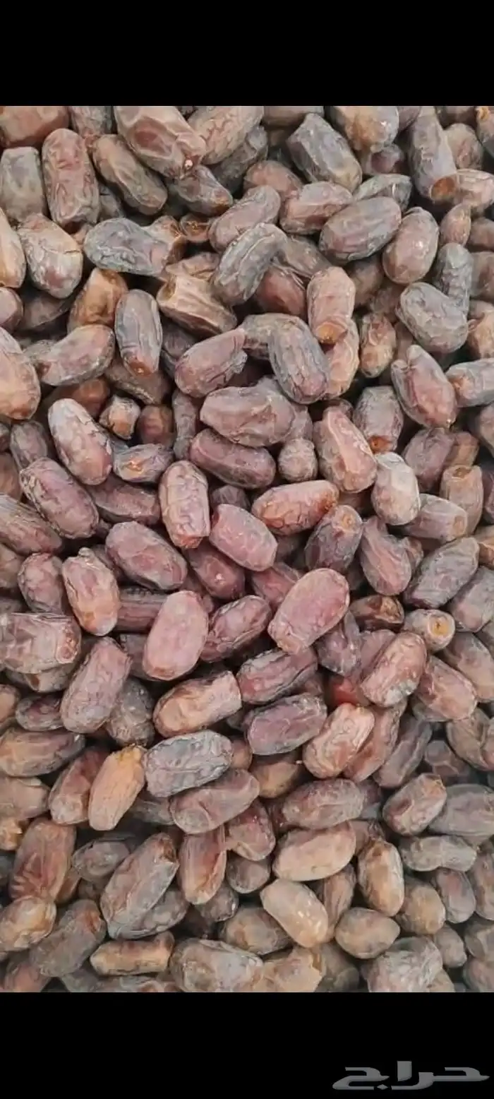 لدينا تمور خضري 0