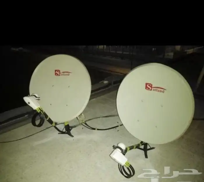 maintenance dish 0