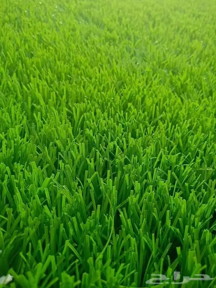 عشب صناعي تزين حدايق 2