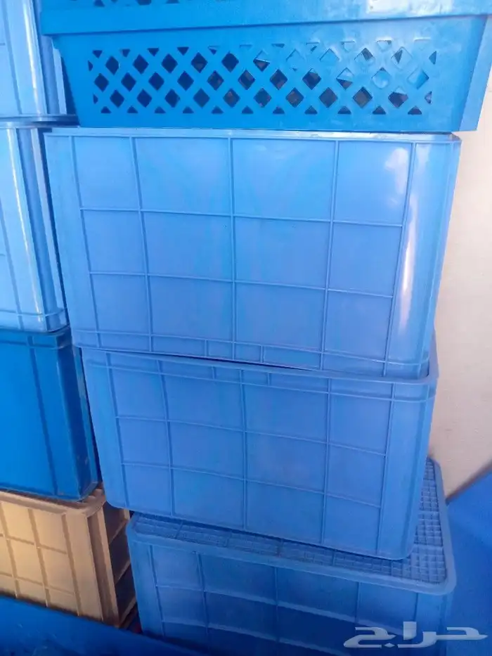 بيع سلات سمك جديد 2